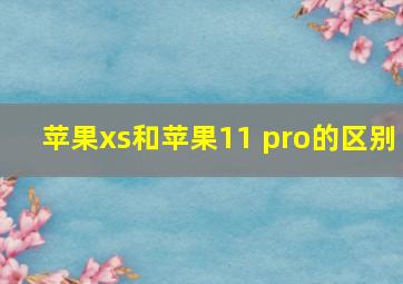 苹果xs和苹果11 pro的区别